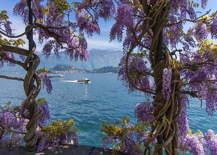 Clubhouse Dom wakacyjny Menaggio